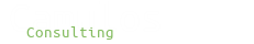 Camulos Consulting